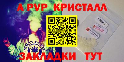 дживик Кингисепп