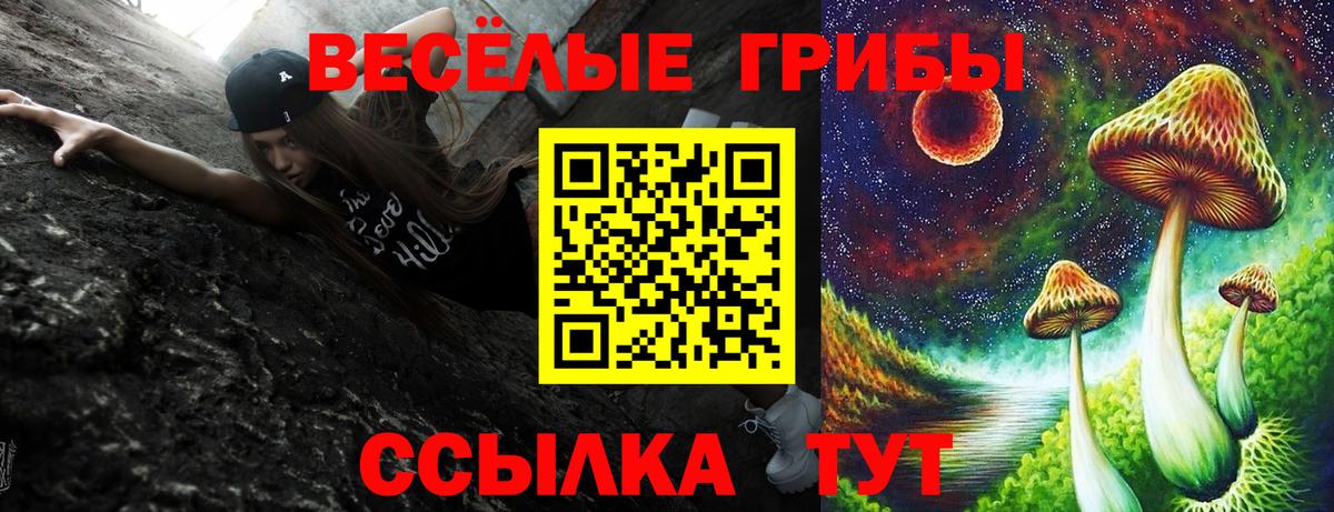 Электросталь  Галлюциногенные грибы ЛСД  Вход с VPN  Галлюциногенные грибы мицелий 