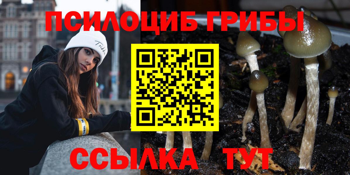 Галлюциногенные грибы GOLDEN TEACHER Электросталь
